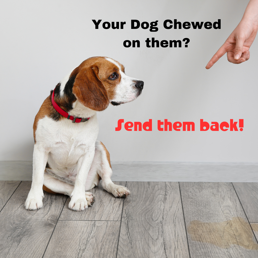 Premium TWS BT V5.3 Buds: Snug Fit, Dual Pairing, Charge Wirelessly & More!